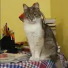 Отзыв от Валентина Бурова